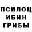 Псилоцибиновые грибы прущие грибы VIzZz OrKa