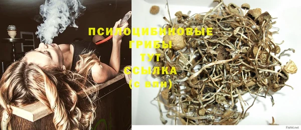 дмт Абдулино