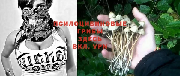ALPHA PVP Новозыбков